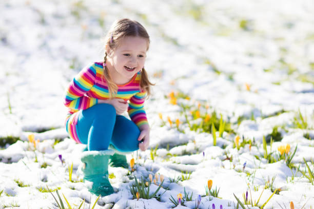 очаровательная маленькая девочка с цветами крокусов под снегом весной - crocus easter spring flower стоковые ф�ото и изображения