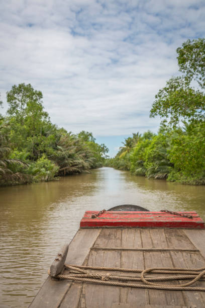 istock Mekong Delta, Vietnam 640008566