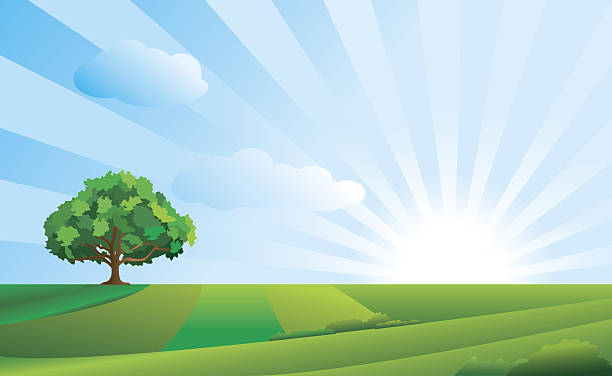 6,352 Cartoon Grass Texture Stock Photos, Pictures & Royalty-Free Images - iStock 6,352 Cartoon Grass Texture Stock Photos, Pictures & Royalty-Free Images - iStock