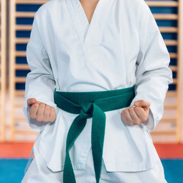 Photo of Tae kwon do stance