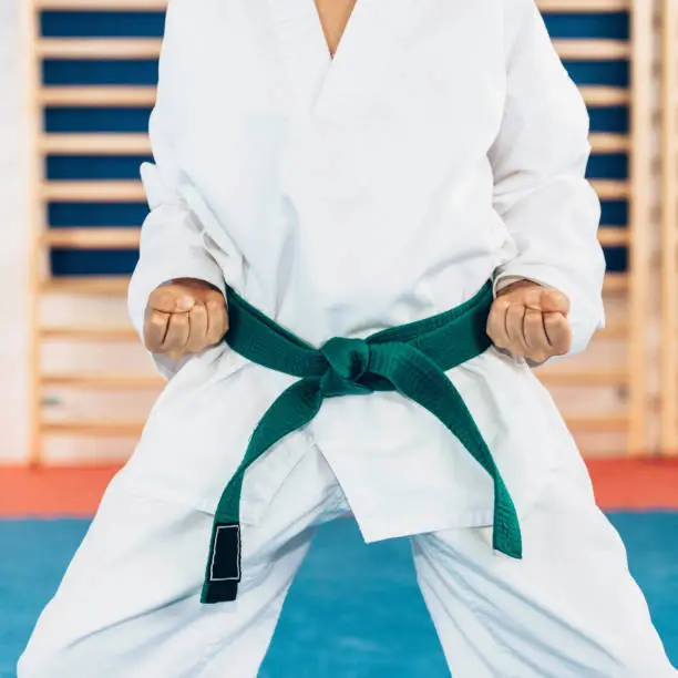 Photo of Tae kwon do stance