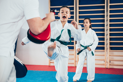 Tae kwon do instructor with kids on class