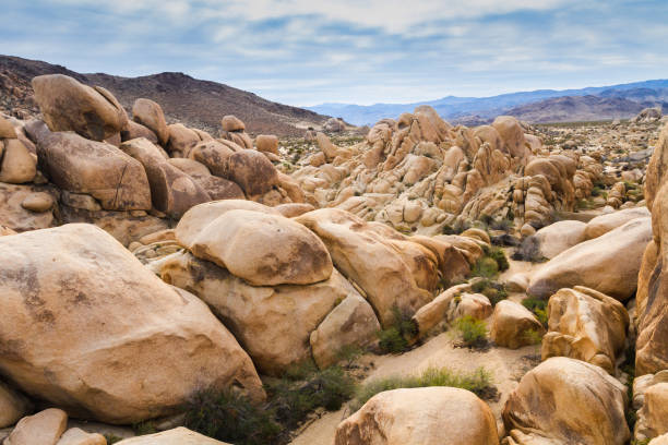 istock Disappearing soil in the Joshua Tree National Park 640010880