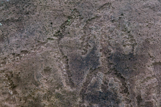 istock Ancient petroglyphs carved in stone. 640014494