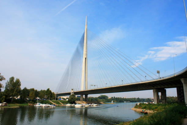 istock Beautiful Ada bridge in Belgrade, Serbia 640020136