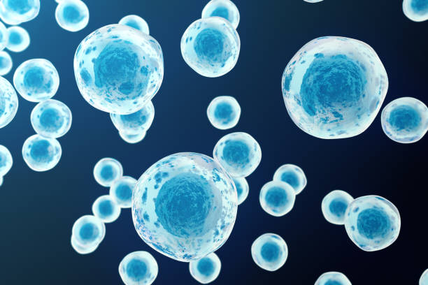 istock Human or animal cells on blue background. Medicine scientific concept 640020372