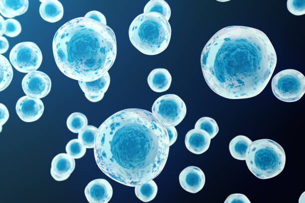 Human or animal cells on blue background. Medicine scientific concept vector art illustration