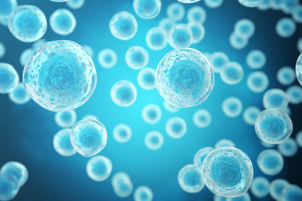 istock Human or animal cells on blue background. Medicine scientific concept 640020408