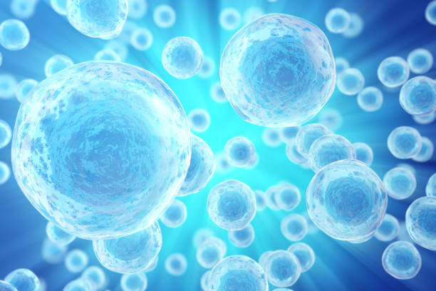 istock Human or animal cells on blue background. Medicine scientific concept 640020452