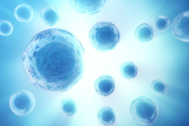 青い背景上の人間または動物の細胞。医学の科学的概念 - blood cell red blood cell blood stem cell点のイラスト素材／クリップアート素材／マンガ素材／アイコン素材