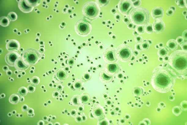 Green cell background. Life and biology, medicine scientific, molecular research Green cell background. Life and biology, medicine scientific, molecular research dna, 3d rendering human cell animal cell healthcare and medicine abstract stock pictures, royalty-free photos & images