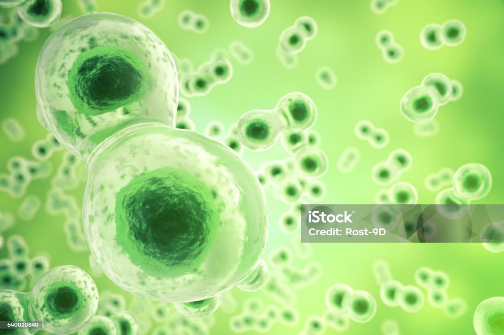 Green cell background. Life and biology, medicine scientific, molecular research Green cell background. Life and biology, medicine scientific, molecular research dna, 3d rendering Green Color Stock Photo