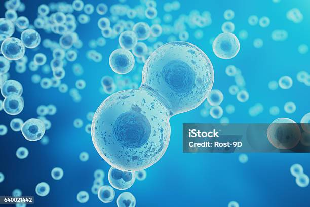 青いセルの背景生命と生物学 医学科学 分子研究 - ヒト細胞のストックフォトや画像を多数ご用意 - ヒト細胞, 細胞, 分ける