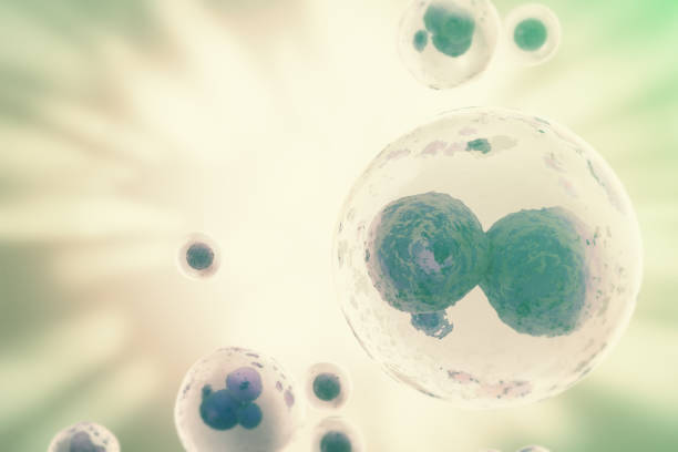 ilustrações, clipart, desenhos animados e ícones de formação científica com células. conceito científico de medicina. renderização 3d - human fertility artificial insemination embryo human egg