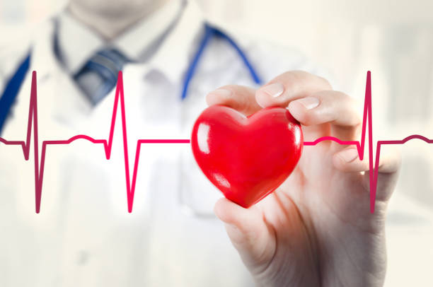 istock Cardiologist holding heart 3D model. Concept with cardiogram 640021758