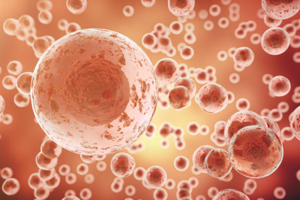 レッドセルの背景。寿命、生物学、医療科学、モレキュラー研究 - stem cell human cell animal cell science ストックフォトと画像