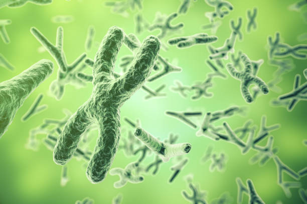 istock Chromosomes on scientific background. Life and biology, medicine . 3d rendering 640023234