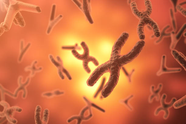 istock Chromosomes on scientific background. Life and biology, medicine  concept wit 640023538