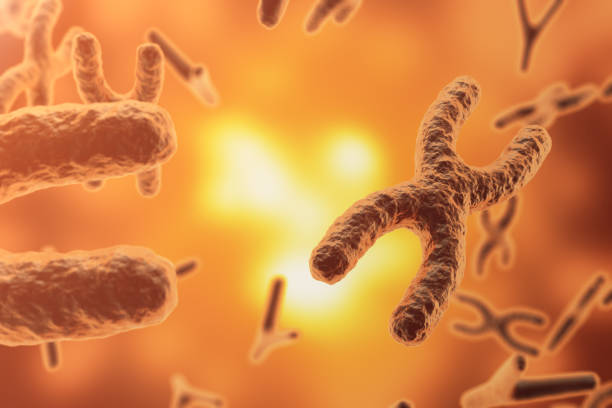 istock Chromosomes on scientific background. Life and biology, medicine  concept wit 640023682