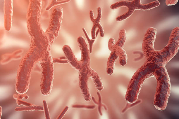 istock Science background with Chromosomes. Medicine scientific concept. 3d rendering 640024006