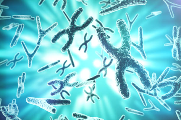 istock XY-chromosomes as a concept for human biology medical symbol 640024240