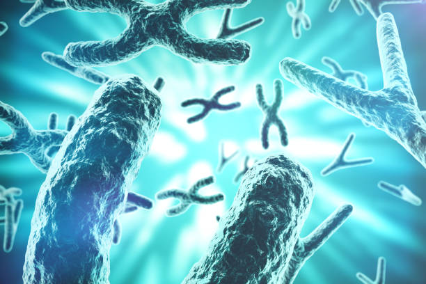 istock XY-chromosomes as a concept for human biology medical symbol 640024306