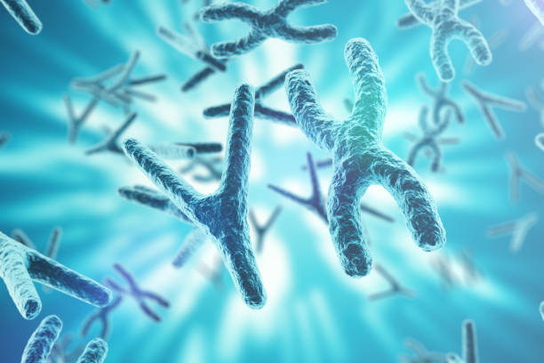 istock Chromosomes on scientific background. Life and biology, medicine  concept wit 640024368