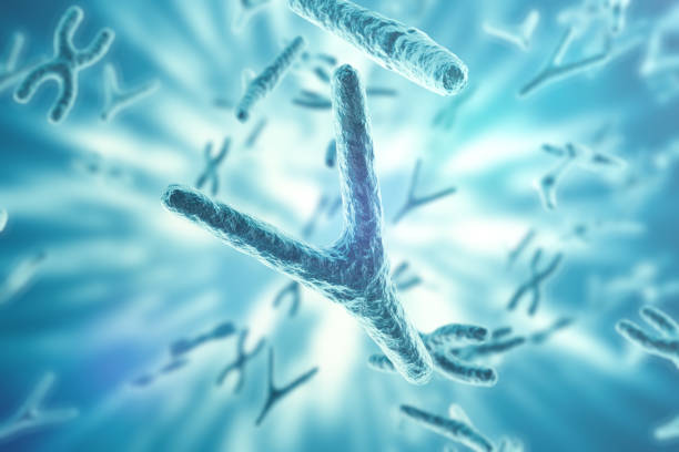 istock Chromosomes on scientific background. Life and biology, medicine  concept wit 640024418