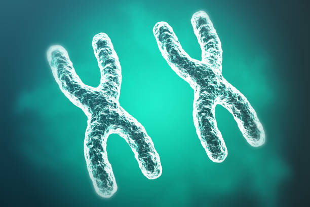 istock Chromosomes on scientific background. Life and biology, medicine . 3d rendering 640024954