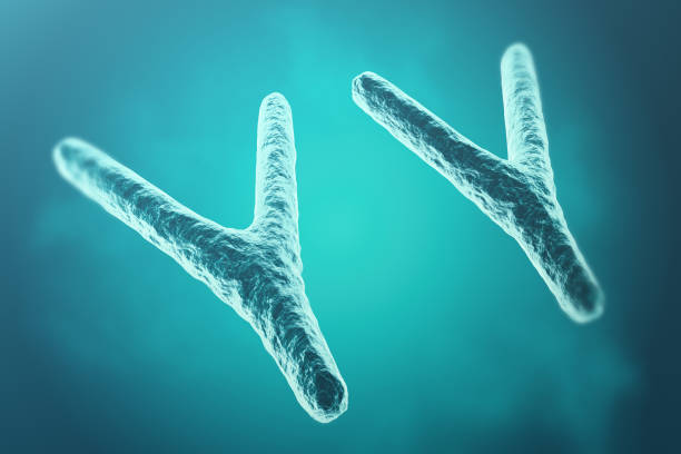 Chromosomes on scientific background. Life and biology, medicine . 3d rendering vector art illustration
