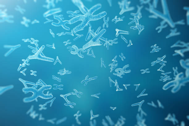 istock Chromosomes on scientific background. Life and biology, medicine  concept wit 640025738