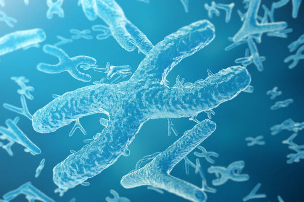 istock Chromosomes on scientific background. Life and biology, medicine  concept wit 640025808