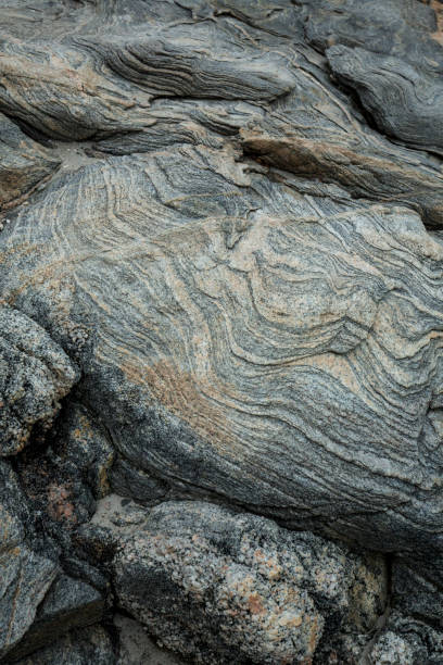 strati vorticosi in roccia in posto di harkness park, waterford, c - gneiss foto e immagini stock