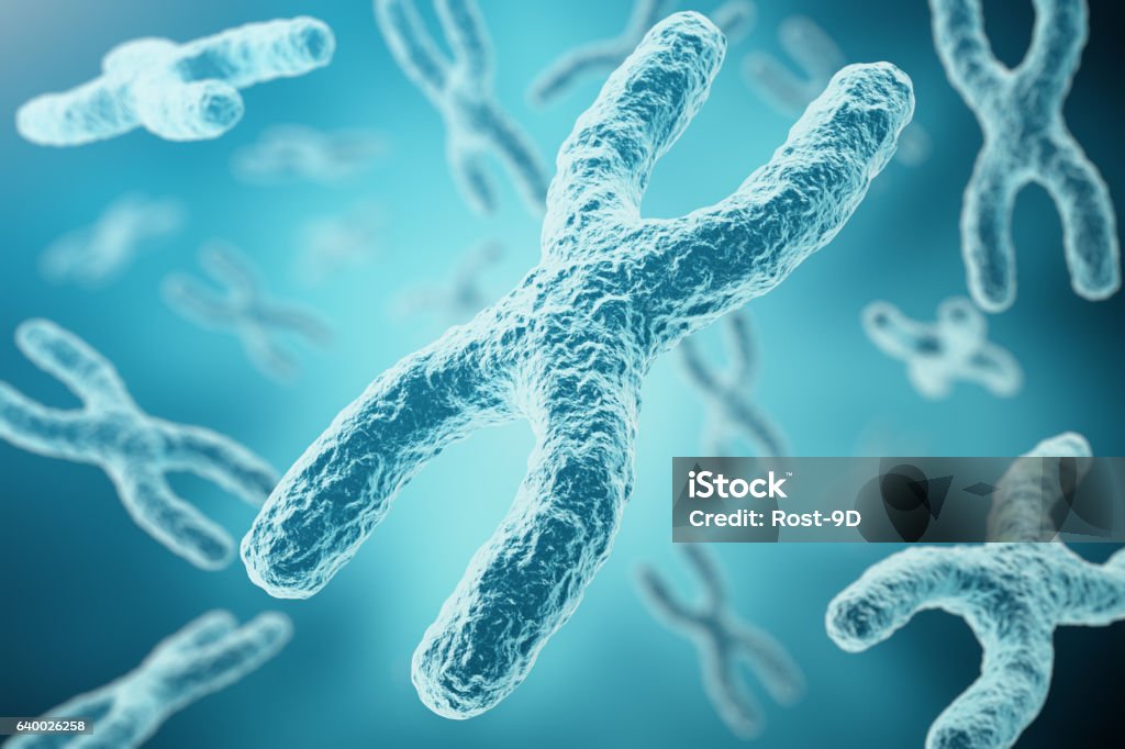 XY-chromosomes as a concept for human biology medical symbol XY-chromosomes as a concept for human biology medical symbol gene therapy or microbiology genetics research, 3d rendering Chromosome stock illustration