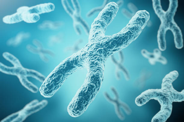 XY-chromosomes as a concept for human biology medical symbol XY-chromosomes as a concept for human biology medical symbol gene therapy or microbiology genetics research, 3d rendering chromosome illustrations stock illustrations