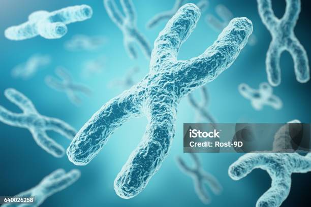 Xychromosomes As A Concept For Human Biology Medical Symbol Stock Illustration - Download Image Now