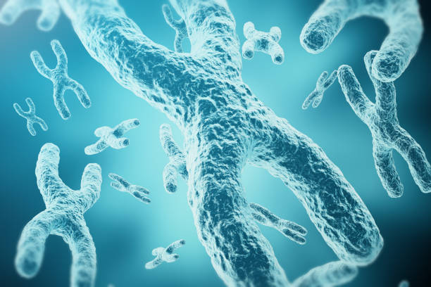 istock XY-chromosomes as a concept for human biology medical symbol 640026348