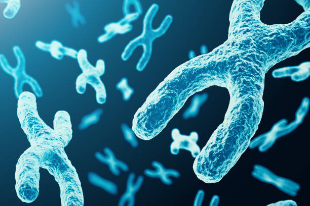 istock XY-chromosomes as a concept for human biology medical symbol 640026412