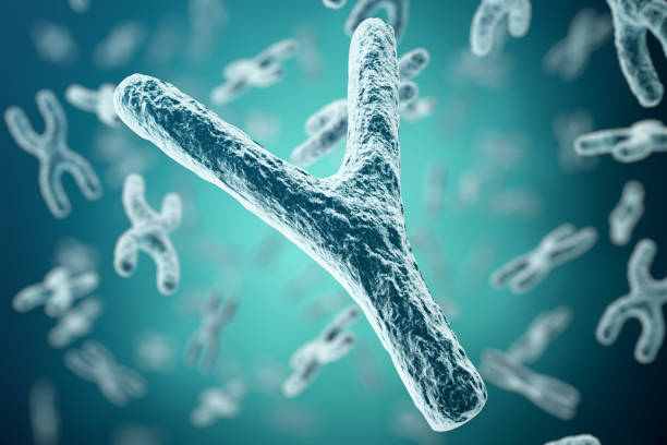 istock XY-chromosomes on background, medical symbol gene therapy or microbiology 640026732