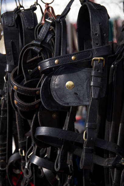 istock Handmade black colored leather harnesses for riders for sale at 640028228