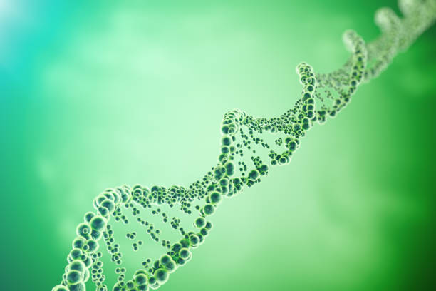 DNA molecule, structure. Close-up of concept human genome. 3d vector art illustration