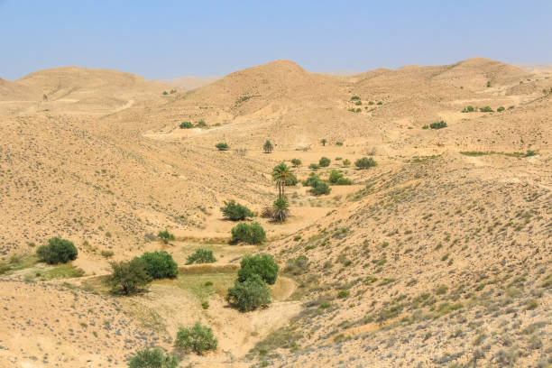 istock Desert landscape in North Africa 640029530