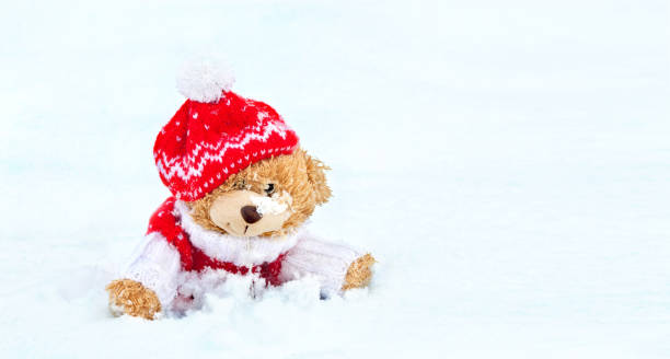 istock Teddy Bear Sitting on Snow  Dressed in a Knitted Clothes 640035140