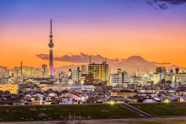 istock Tokyo Skyline at Dusk 640041636