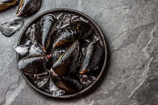 Fresh uncooked raw big mussels on chipped ice on black iron plate over dark slate stone background, Top view