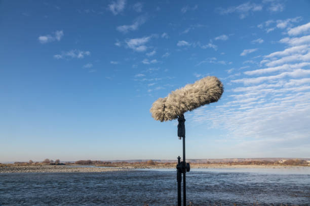 A process of capturing ambient sound inside a pavilion