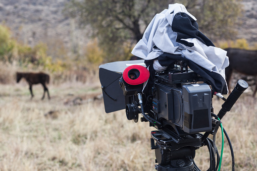 Professional movie camera on tripod in outdoor.The light source is sun.A little horse is seen blurred in front of camera.Shot in outdoor with a full frame DSLR camera.