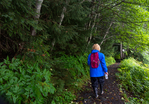 Back view of a Caucasian blond woman in 40s wearing a blue rain jacket, plum backpack and rain boots walking along a hiking trail in the rainforest past green plants on the False Outer trail, Douglas Island, Juneau, Alaksa, USA