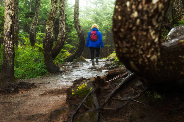 istock Hiker on Mt. Roberts, Juneau 640046168