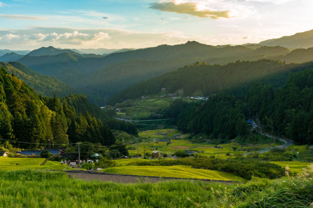 istock Sunset over Japanese countryside with mountains and rice fields 640046404